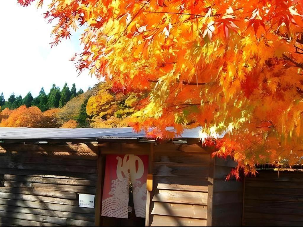 Kinugawa Niouson Plaza Hotel Никко Экстерьер фото